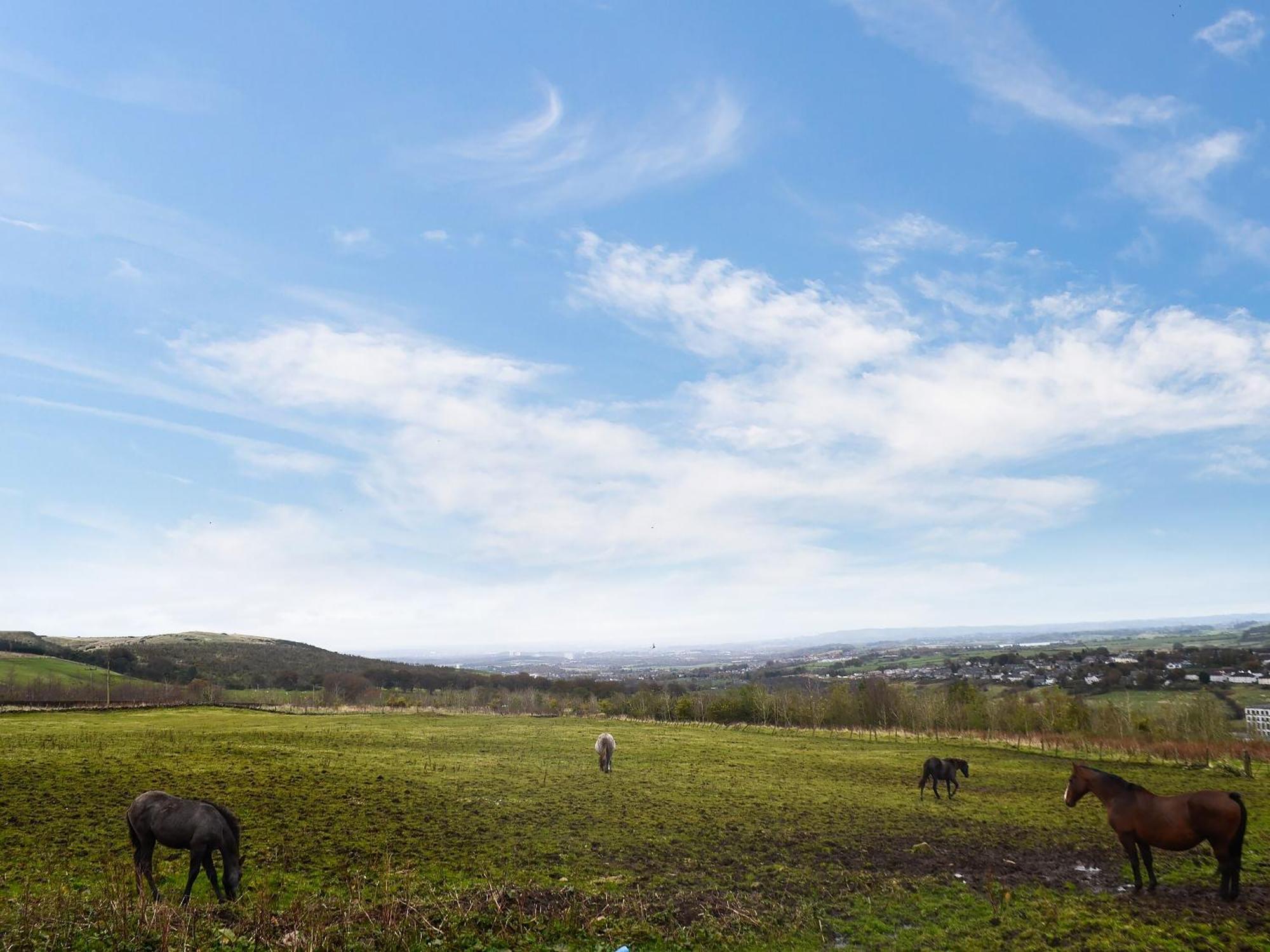 Vila The Calving Shed Neilston Exteriér fotografie